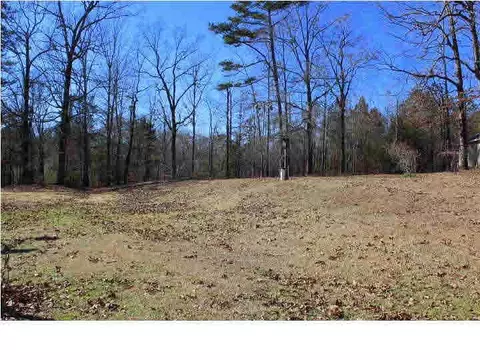 4319 Pine Lake Dr, Terry, MS 39170 photo 46
