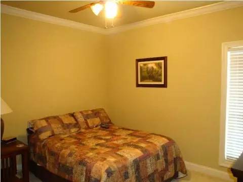 556 Turtle Ln, Brandon, MS 39047 photo 20