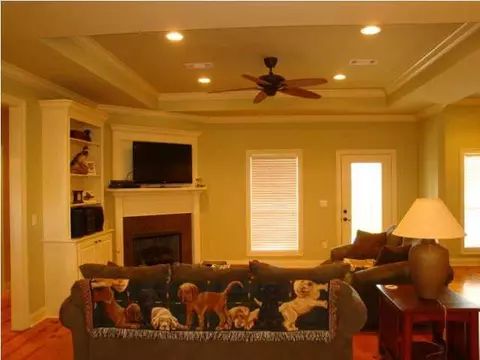 556 Turtle Ln, Brandon, MS 39047 photo 5