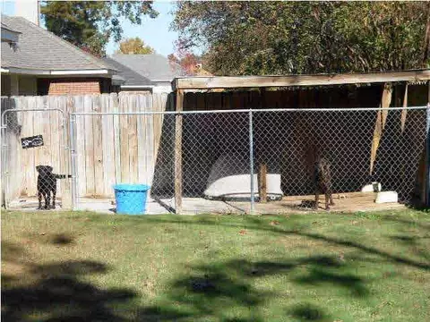 507 Black Jack Cv, Brandon, MS 39047 photo 19