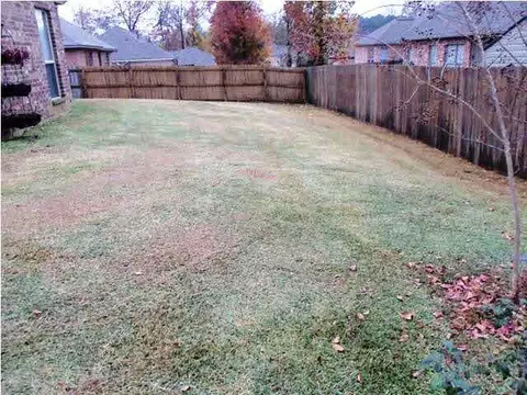 505 Pinebrook Cv, Brandon, MS 39047 photo 21