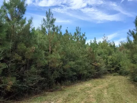1055 Barron Cut Off Rd, Mccomb, MS 39648 photo 1