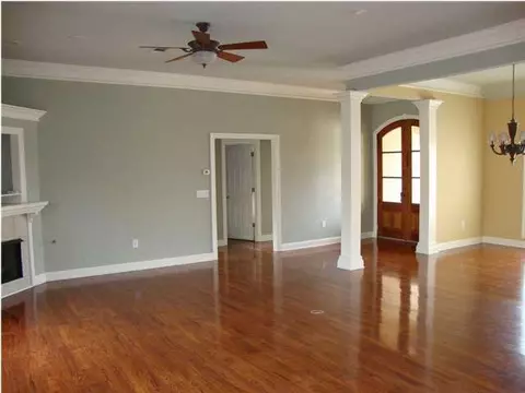 224 Lighthouse Ln, Brandon, MS 39047 photo 3