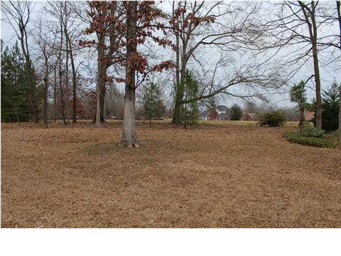 102 Willowood Cv, Madison, MS 39110 photo 22