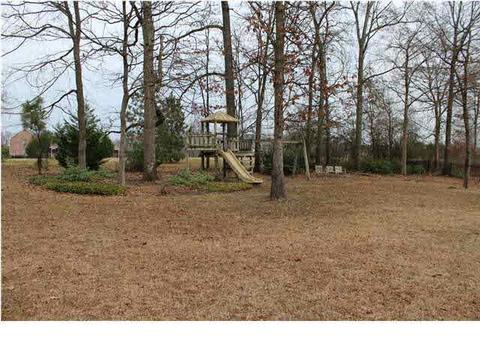 102 Willowood Cv, Madison, MS 39110 photo 23