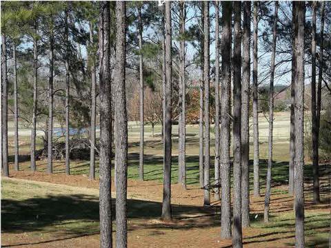 112 S Glen Pl, Madison, MS 39110 photo 24