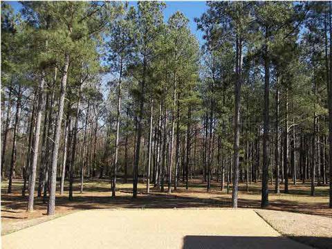 112 S Glen Pl, Madison, MS 39110 photo 23