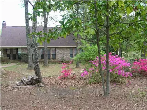 506 Buckner Pl, Madison, MS 39110 photo 3