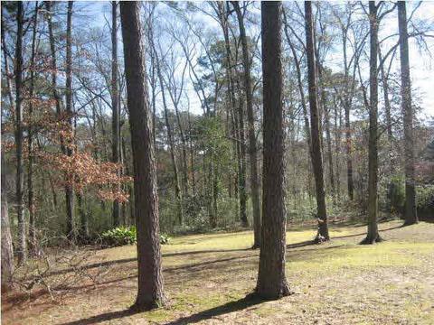 4160 Ridgewood Rd, Jackson, MS 39211 photo 15