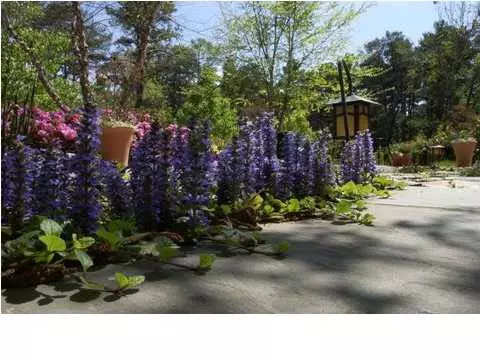 3 Waterstone Pl, Jackson, MS 39211 photo 23