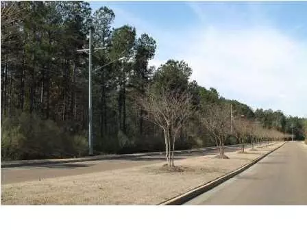 403 Mason Ct, Brandon, MS 39047 photo 5