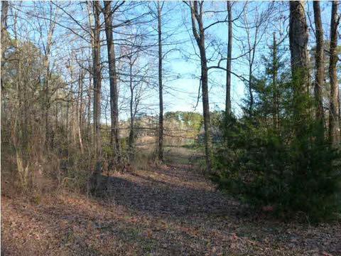113 Cedar Rdg, Canton, MS 39046 photo 19