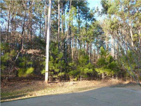 113 Cedar Rdg, Canton, MS 39046 photo 16