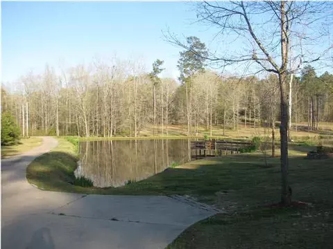 258 S Eagle Ridge Dr, Florence, MS 39073 photo 23