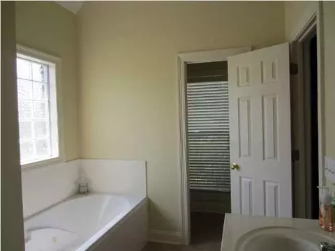 283 Lighthouse Ln, Brandon, MS 39047 photo 14