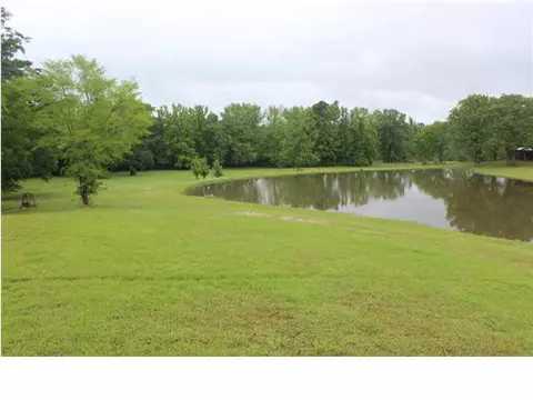 1210 Davis Rd, Terry, MS 39170 photo 24