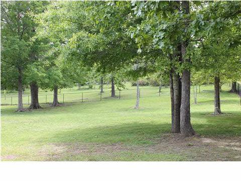 109 Grandview Dr, Florence, MS 39073 photo 19