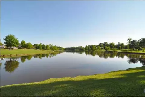 1298 Tara Dr, Terry, MS 39170 photo 1