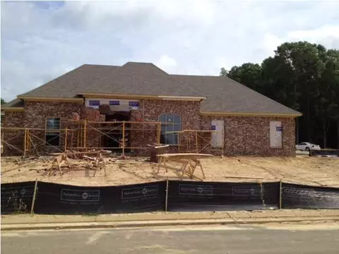 101 Oak Meadow Ct, Clinton, MS 39056 photo 1