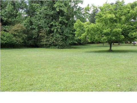 113 Pinehaven Pl, Clinton, MS 39056 photo 4
