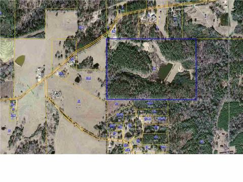217 Goshen Rd, Magee, MS 39111 photo 2