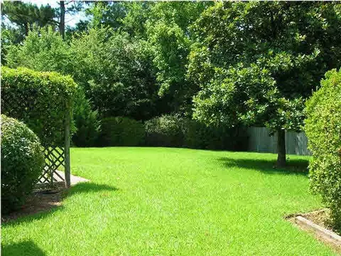 1336 Winterview Dr, Jackson, MS 39211 photo 11