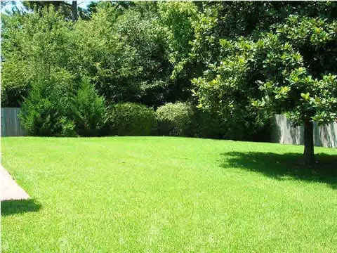 1336 Winterview Dr, Jackson, MS 39211 photo 23