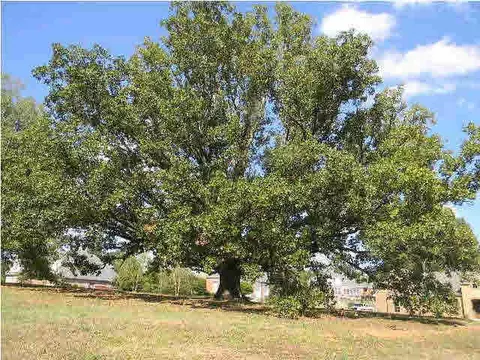 129 Dunleith Way, Clinton, MS 39056 photo 3