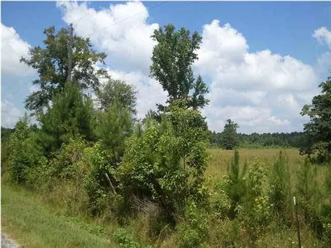 928 Mon Rd, Forest, MS 39074 photo 2