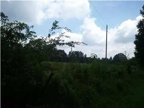 928 Mon Rd, Forest, MS 39074 photo 5