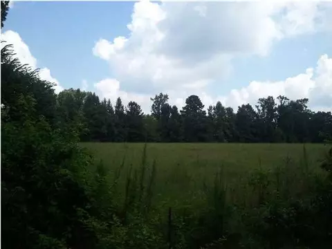 928 Mon Rd, Forest, MS 39074 photo 4