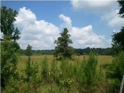 928 Mon Rd, Forest, MS 39074 photo 3
