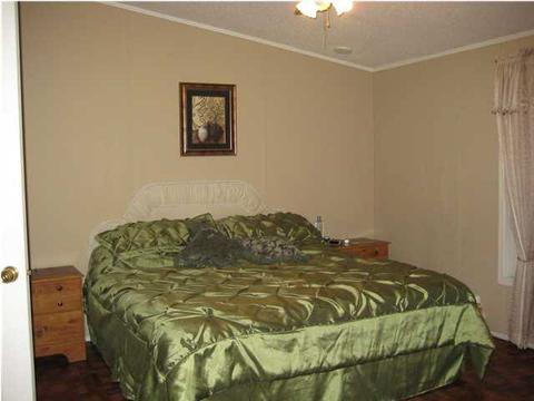 298 Lizard Ln, Brandon, MS 39042 photo 8