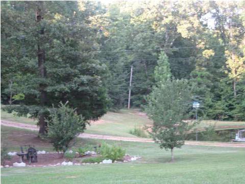 298 Lizard Ln, Brandon, MS 39042 photo 11