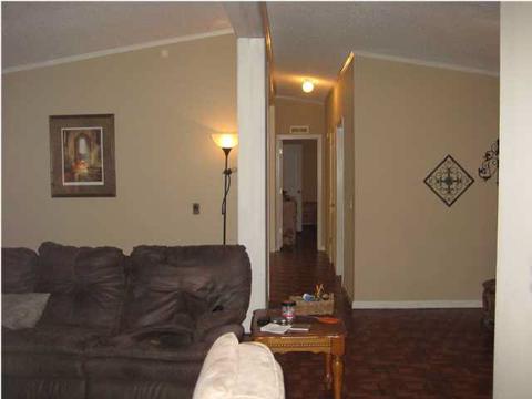 298 Lizard Ln, Brandon, MS 39042 photo 10