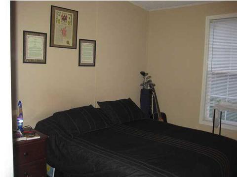 298 Lizard Ln, Brandon, MS 39042 photo 9