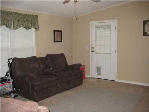 298 Lizard Ln, Brandon, MS 39042 photo 5
