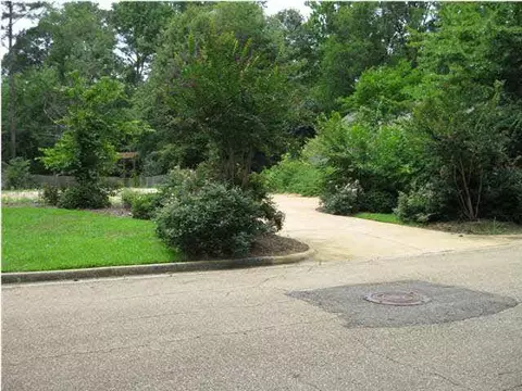 1145 Martingale Dr, Jackson, MS 39206 photo 3