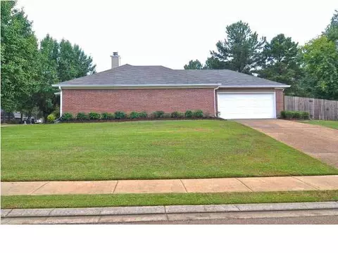 409 Treles Dr, Madison, MS 39110 photo 34