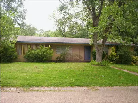 314 Mcdowell Park Cir, Jackson, MS 39204 photo 1