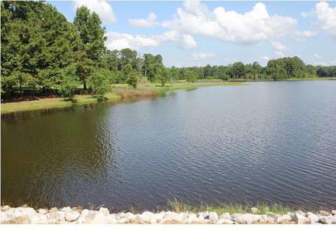 3212 Ryan Cv, Byram, MS 39272 photo 24
