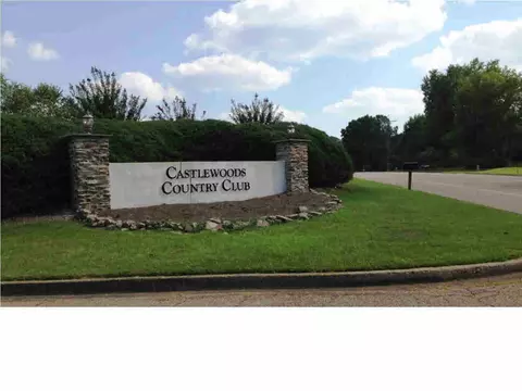 252 Greensview Dr, Brandon, MS 39047 photo 16