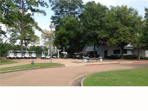 252 Greensview Dr, Brandon, MS 39047 photo 17