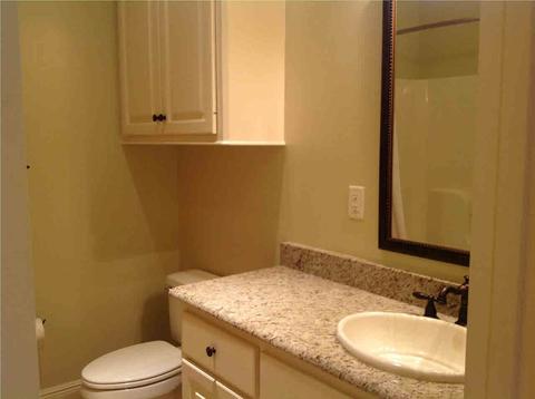 117 Provonce Park, Brandon, MS 39042 photo 15