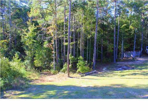 455 N Brandon Blvd, Brandon, MS 39042 photo 48