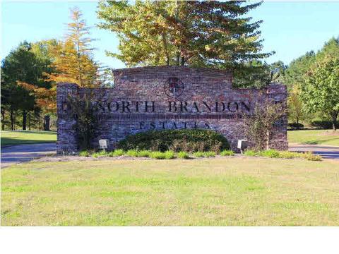 455 N Brandon Blvd, Brandon, MS 39042 photo 50