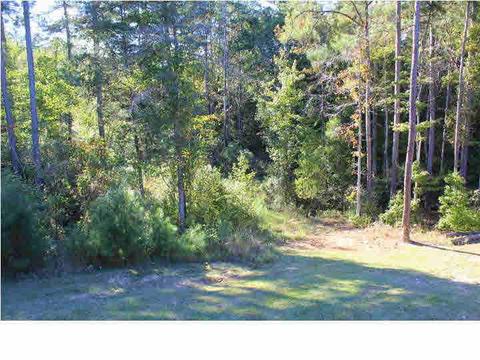 455 N Brandon Blvd, Brandon, MS 39042 photo 47