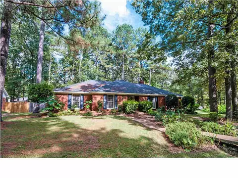 100 Whippoorwill Rd, Brandon, MS 39047 photo 26