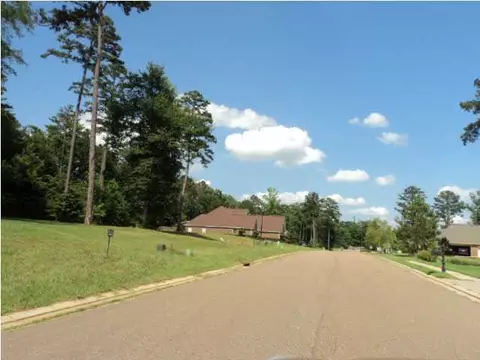 127 W Legacy Dr, Brandon, MS 39042 photo 6