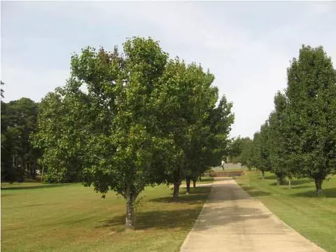 432 Mullican Rd, Florence, MS 39073 photo 7